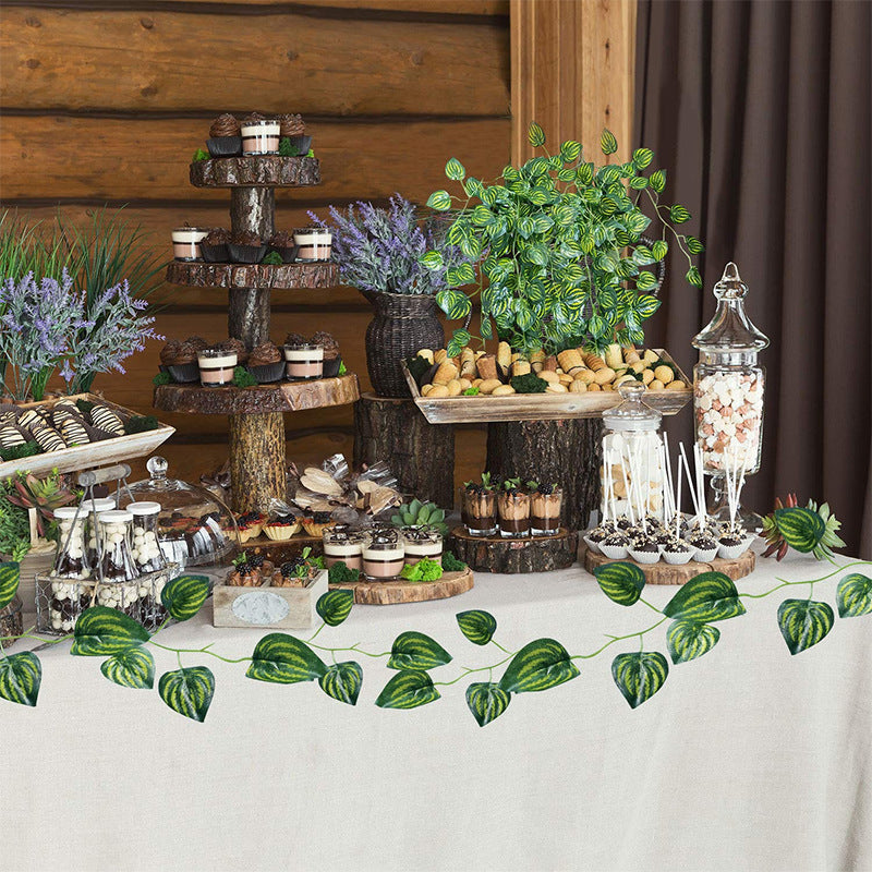 Hanging Wall Planters For Home Decor